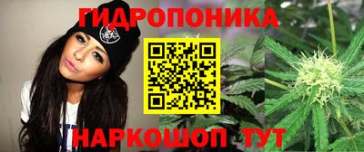 гашик Бузулук