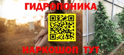 гидропоника Будённовск