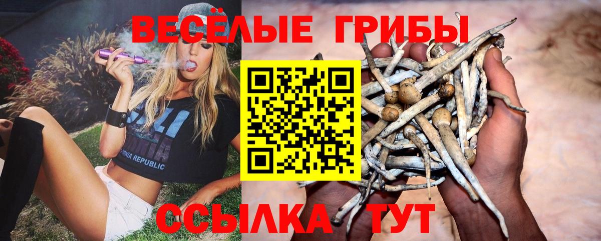 Шуя  Галлюциногенные грибы ЛСД  Вход с VPN 